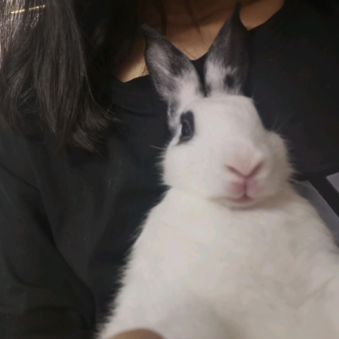 爱河