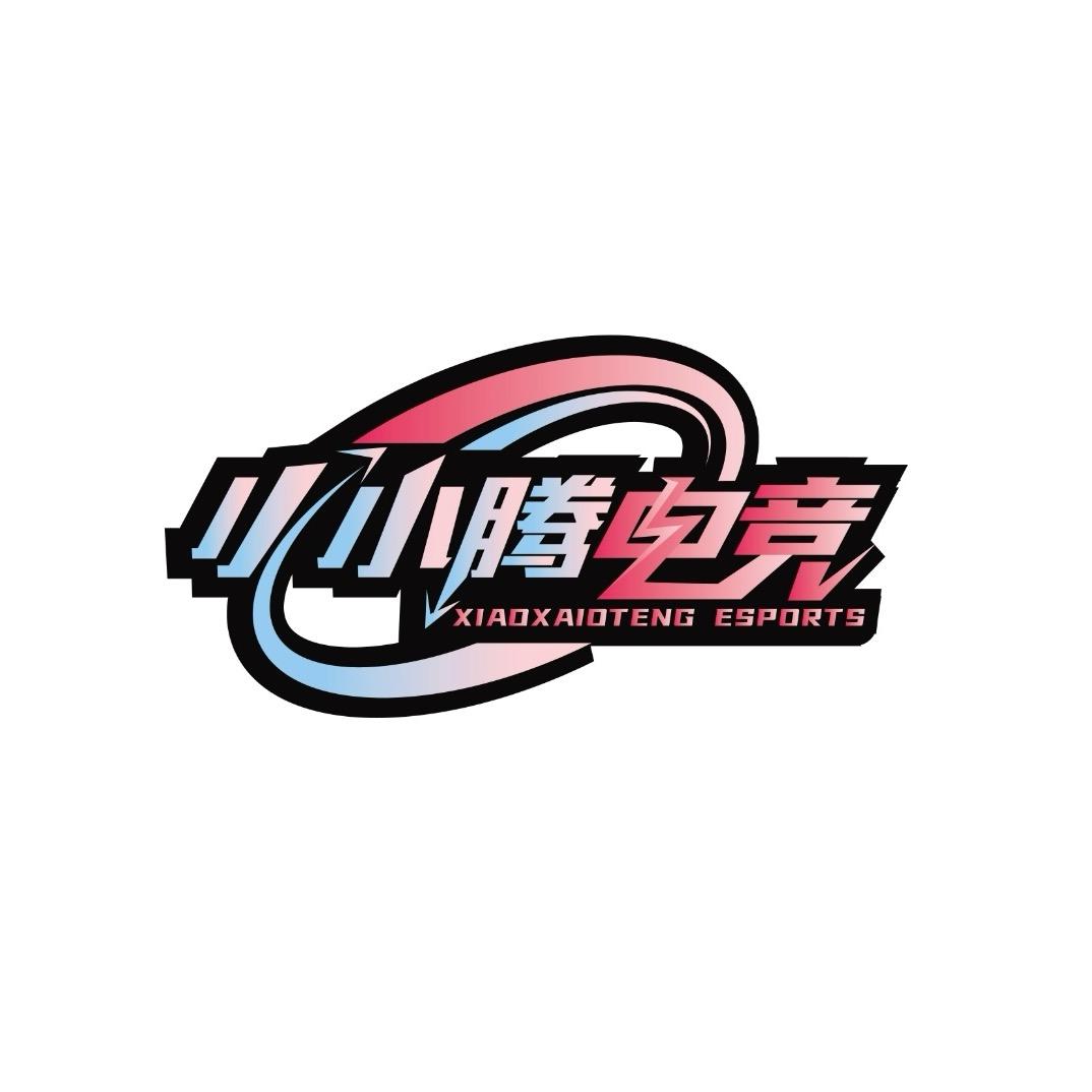 小小腾电竞（极致性价比）