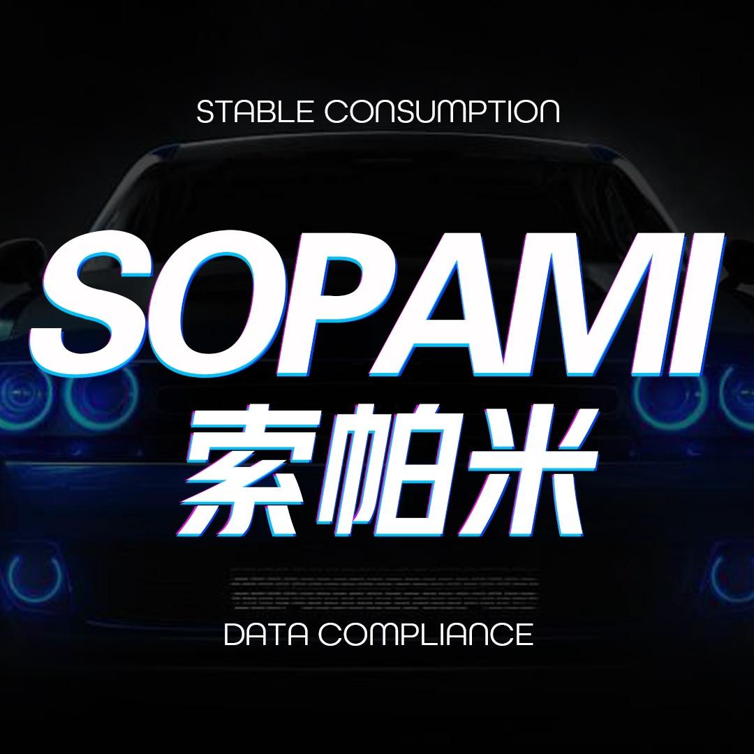 SOPAMI油路清洁专家