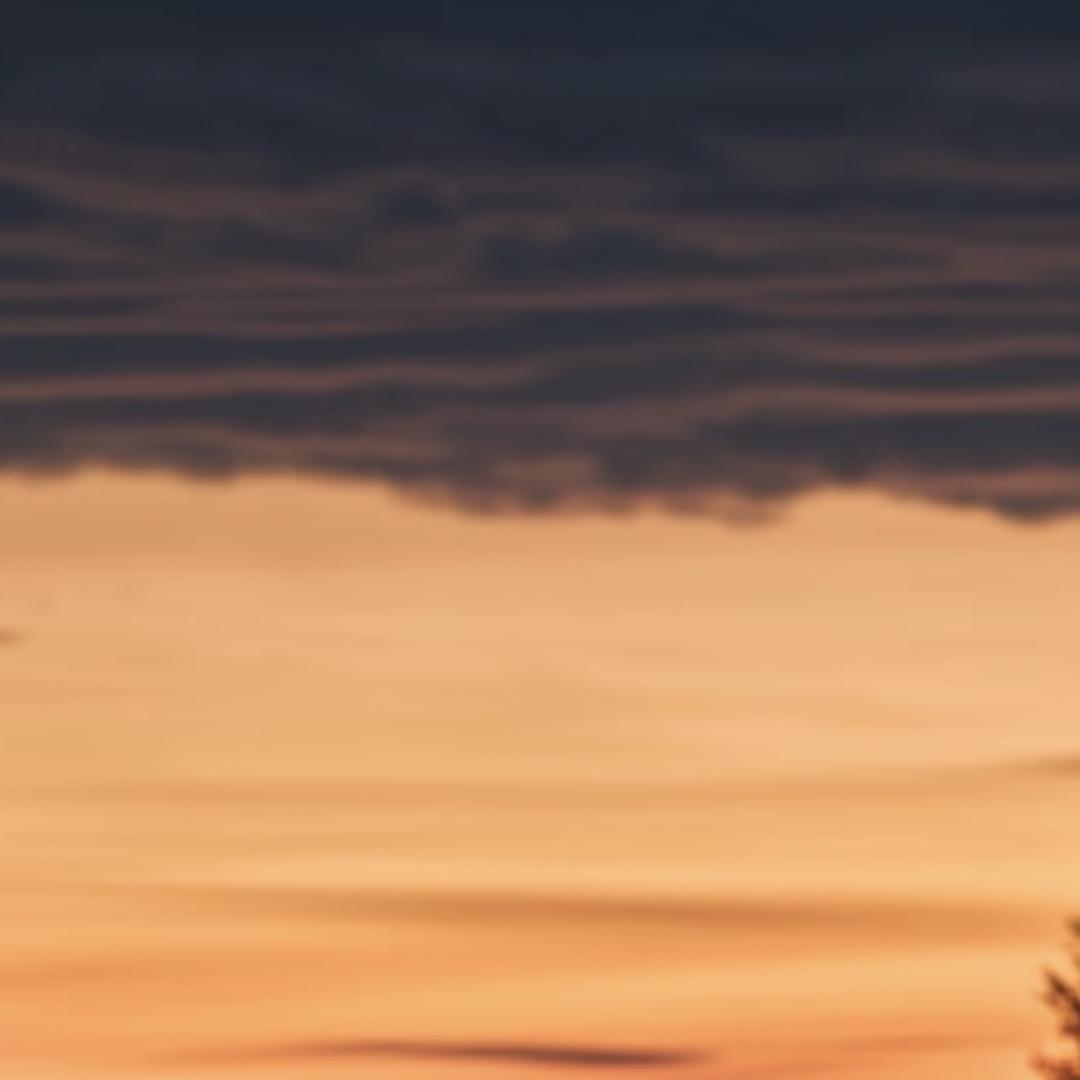 新兴县伟之杰二手车有限公司