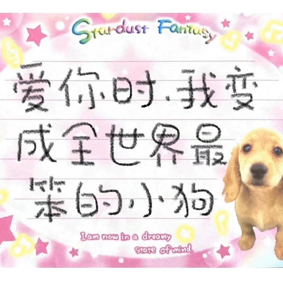 不想丸了