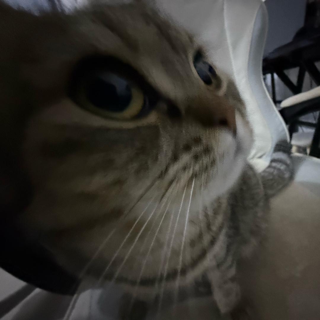 球球球球球你了