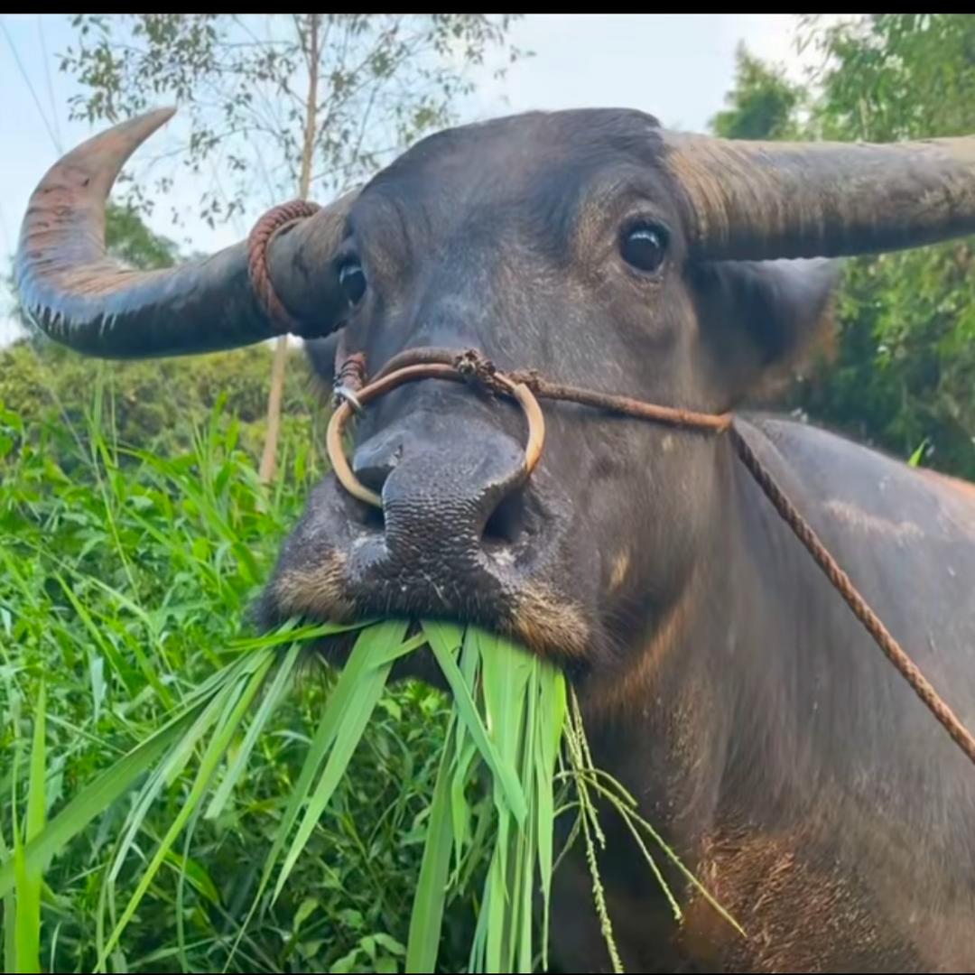 不想在工地上班