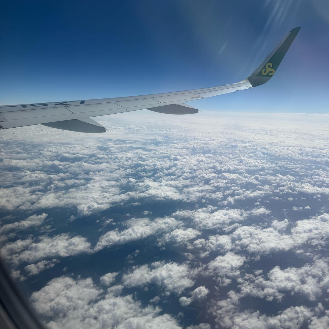 梧桐叶落不知秋_