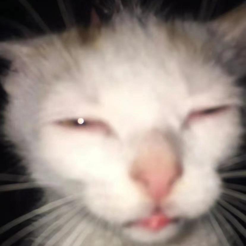 殿下