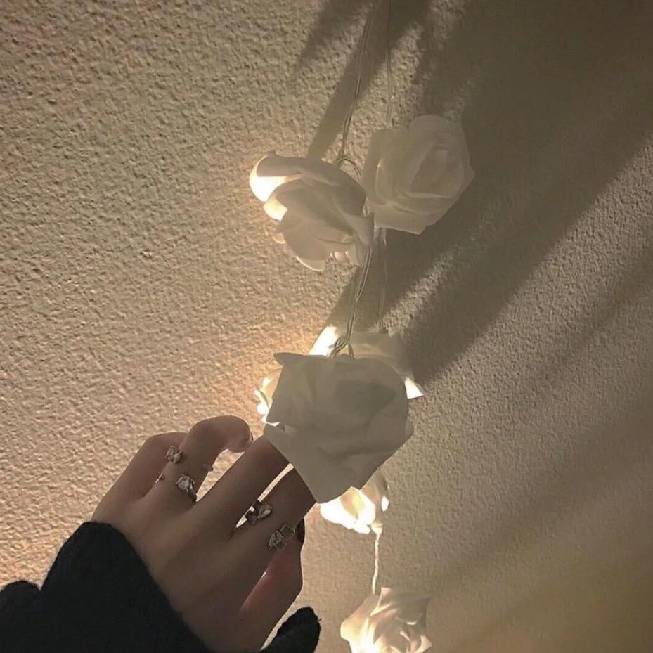 🛒(好物在橱窗）🛍