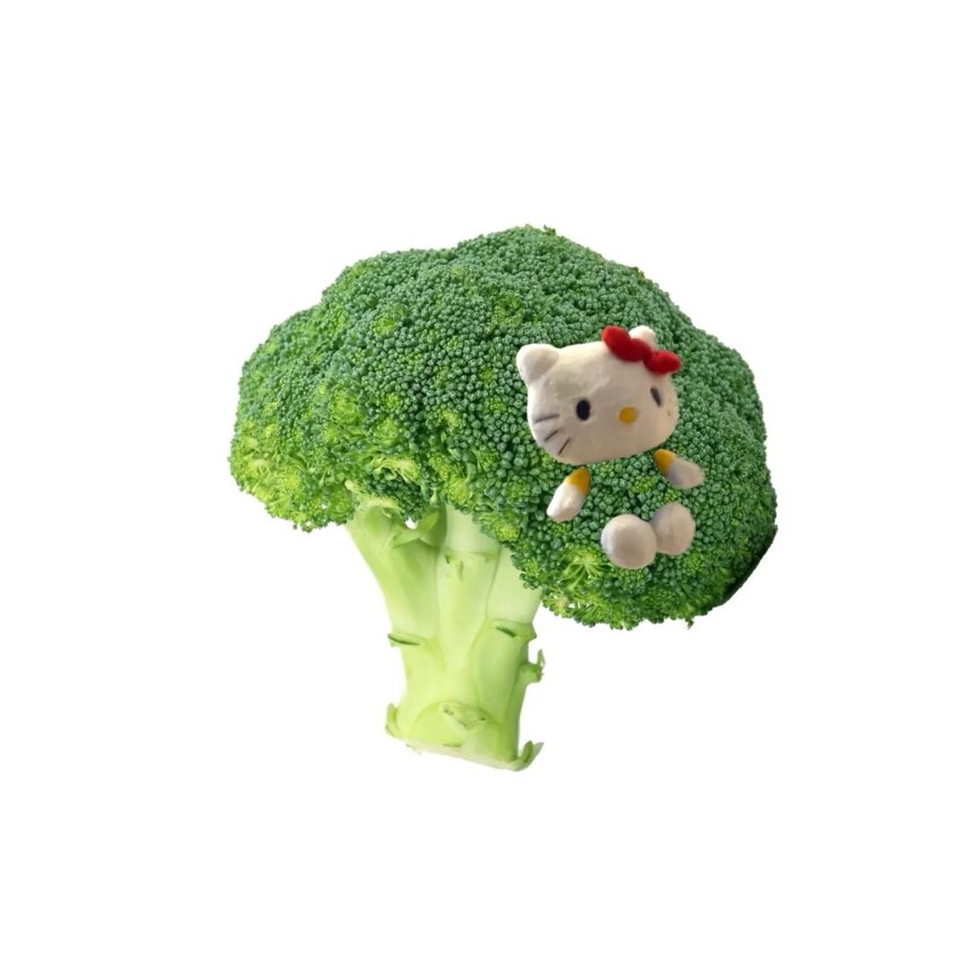 千筱（好运版本）