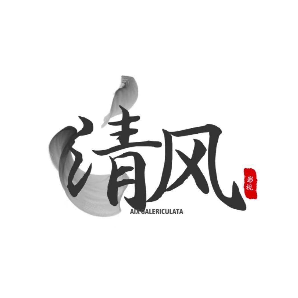 清风短剧