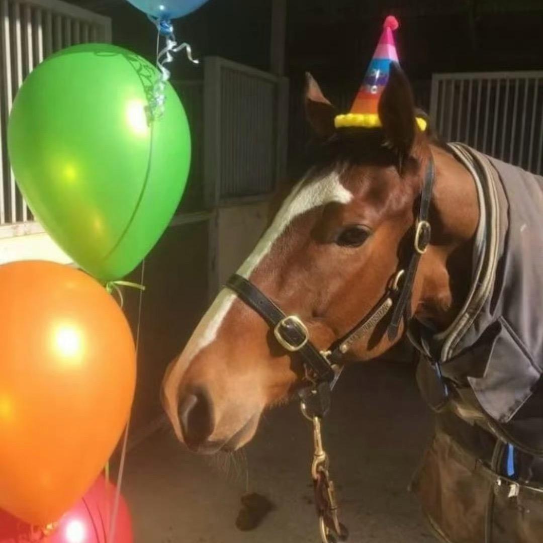 去游泳馆门口卖淀粉肠