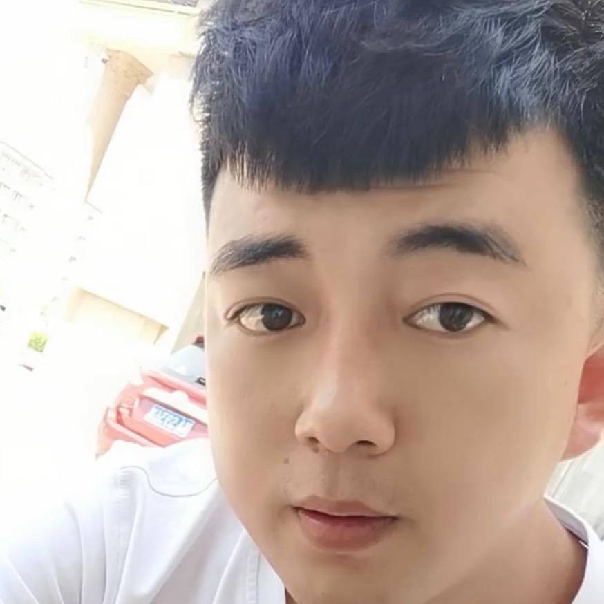 艾菲尔上的铁塔梦