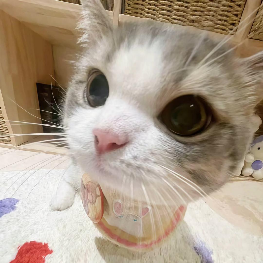 嘟嘟~