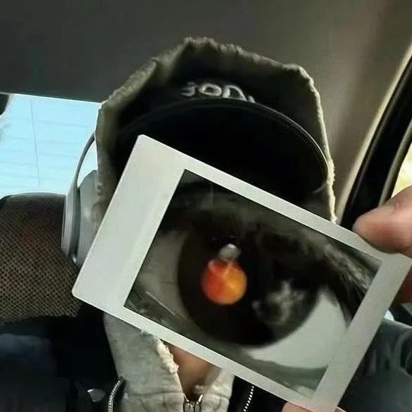 Ly