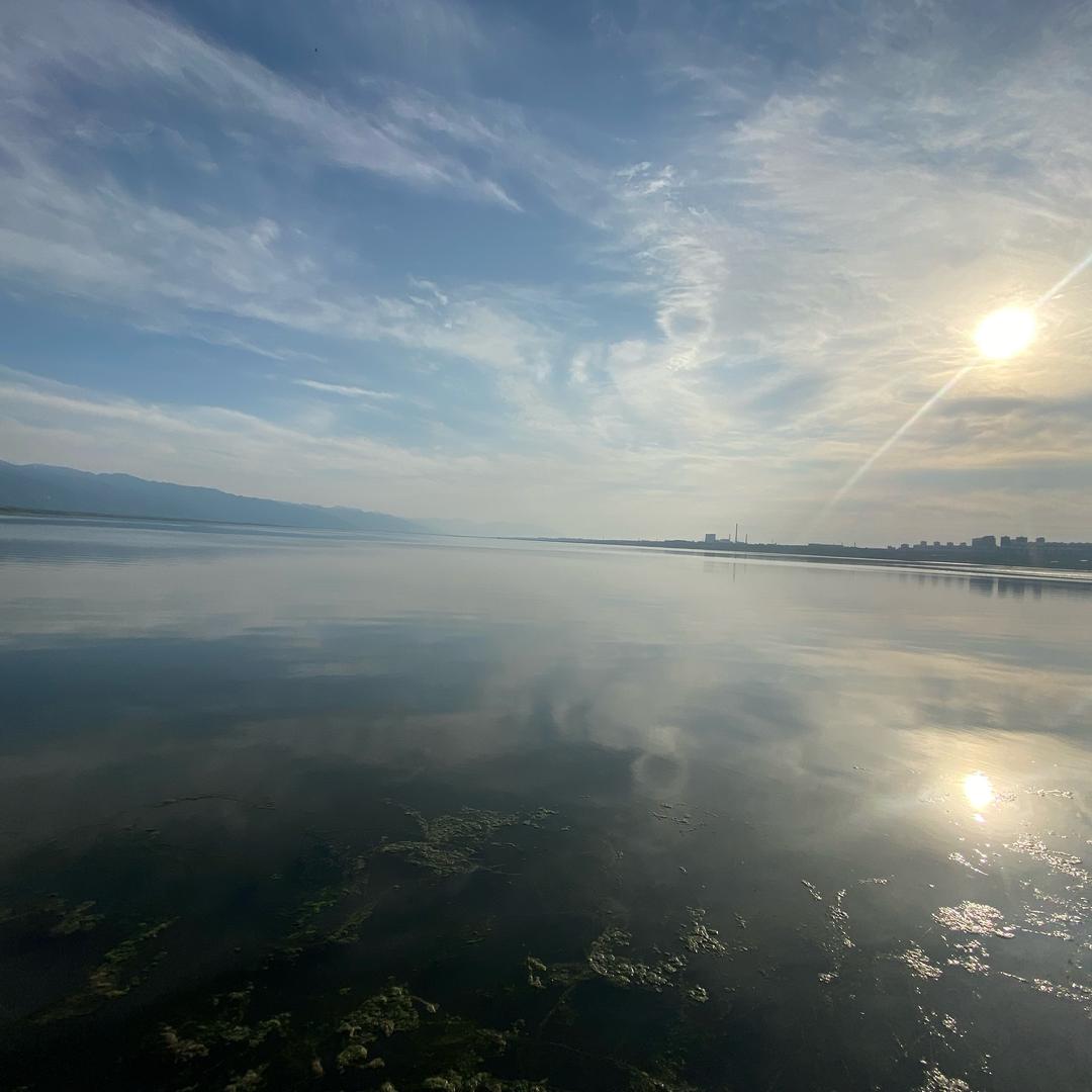 掉头发的李敏镐