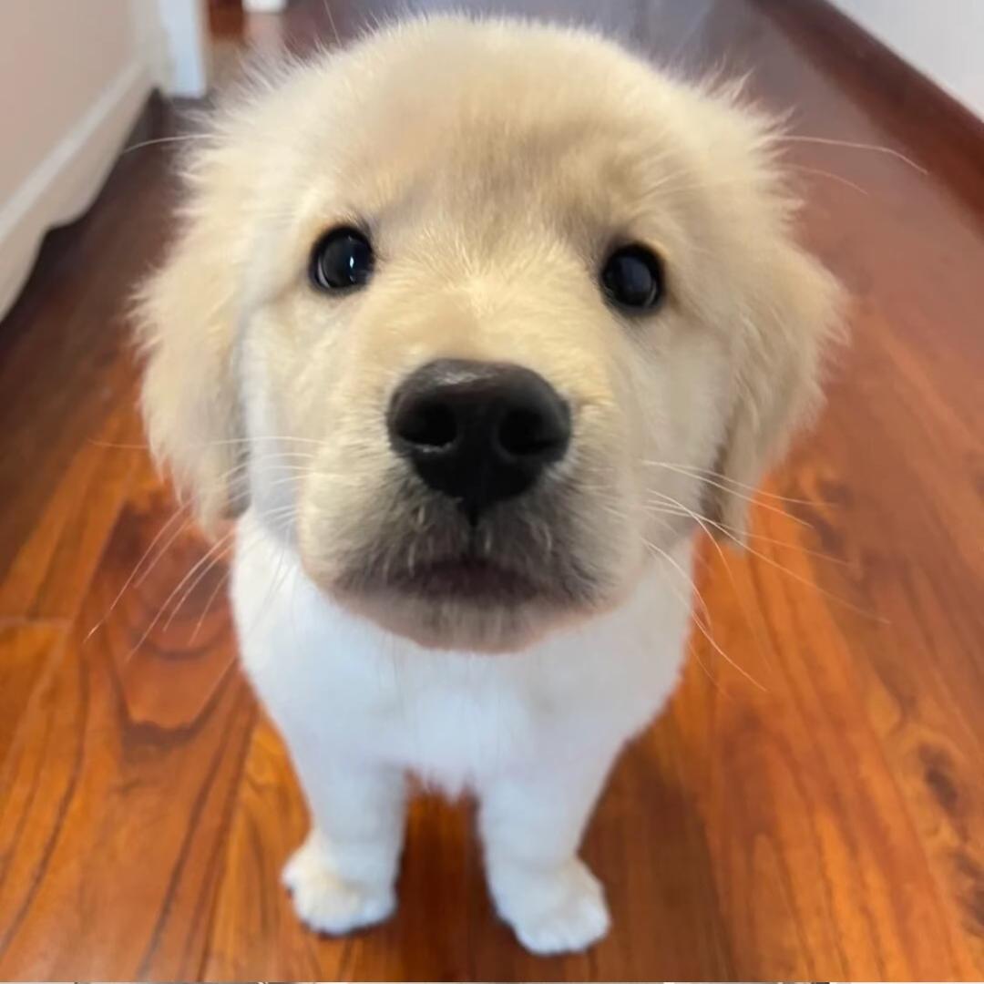 我埃及吧叫啥就叫啥