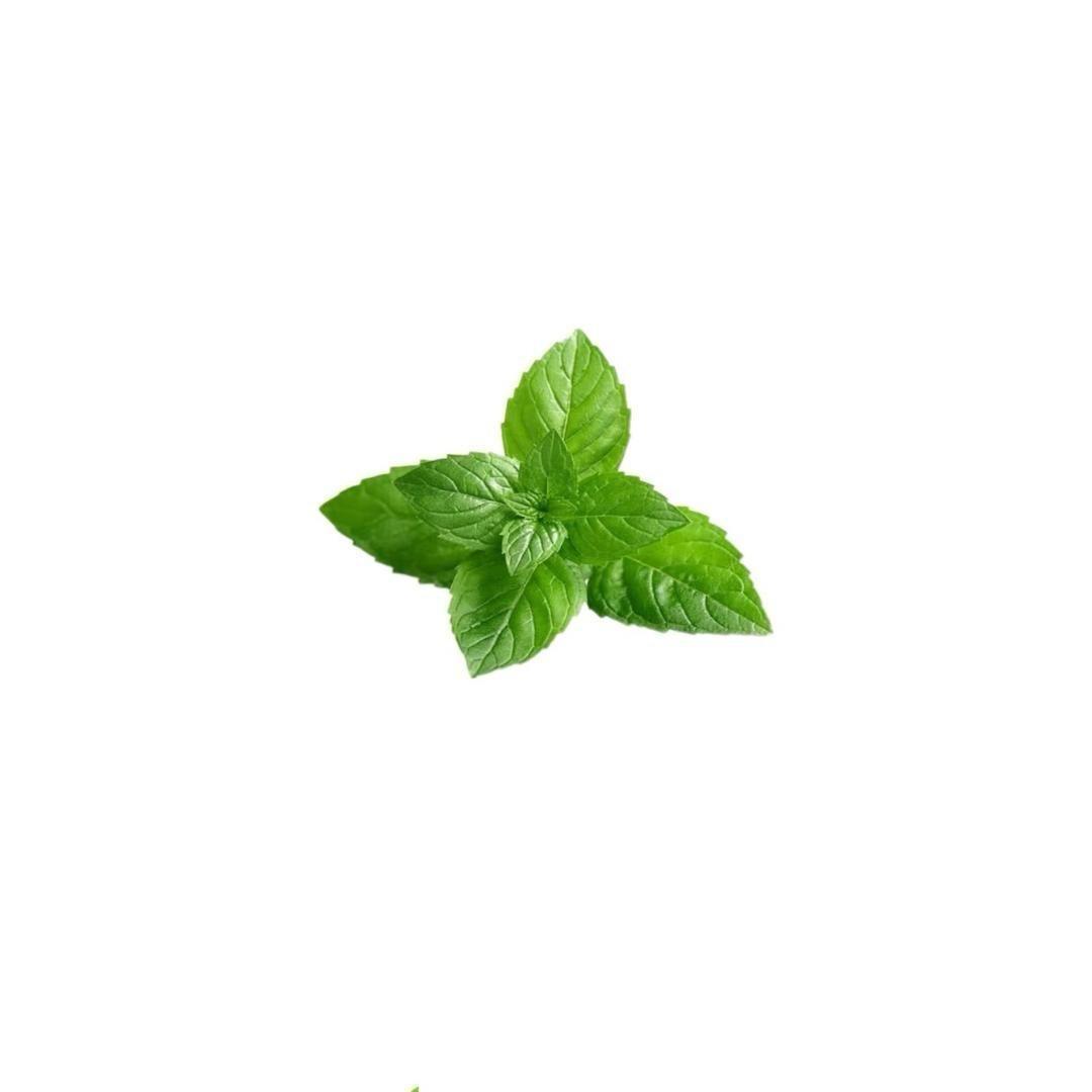 薄荷日记内衣坊3店
