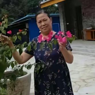 岁月安好