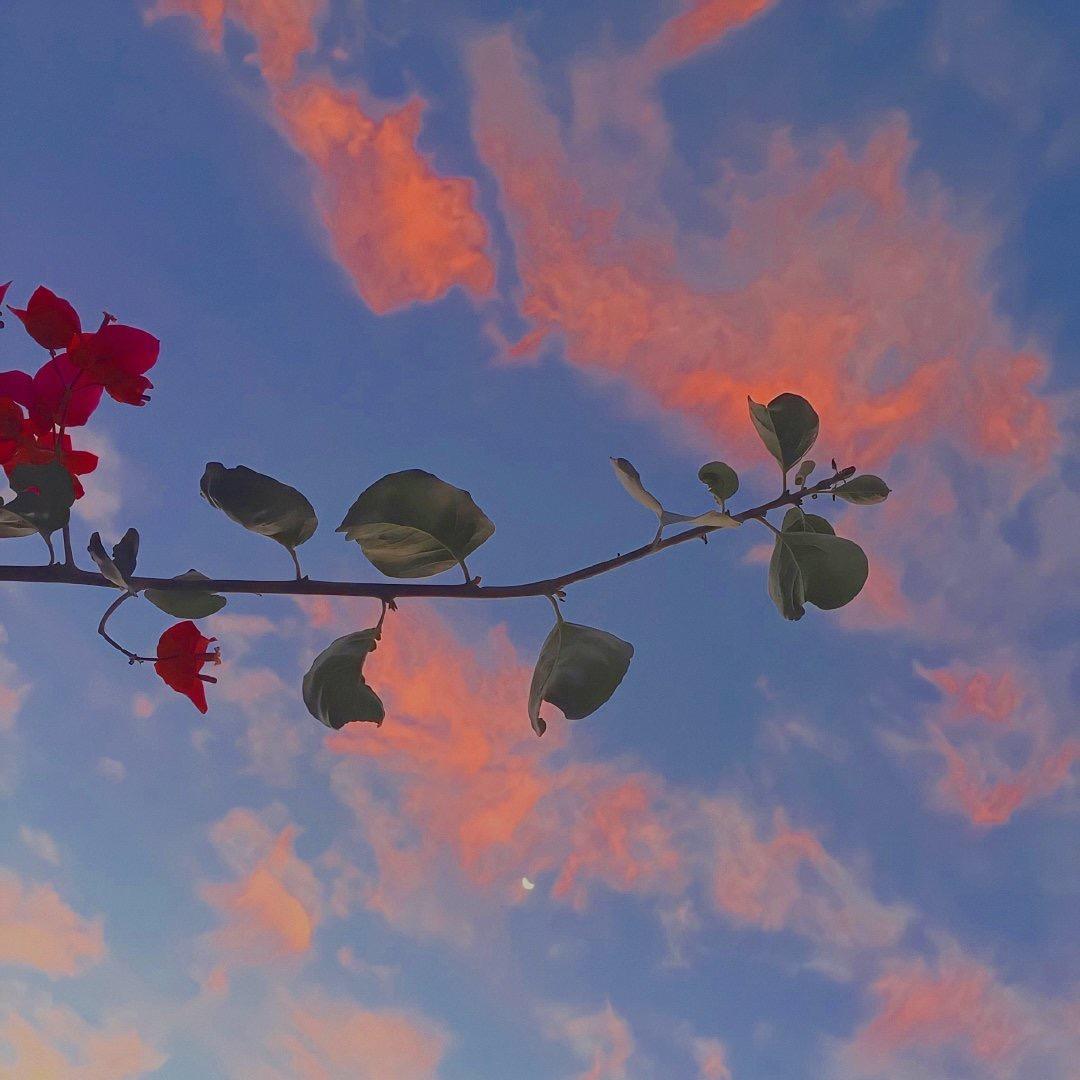 青十一讲情感🍃