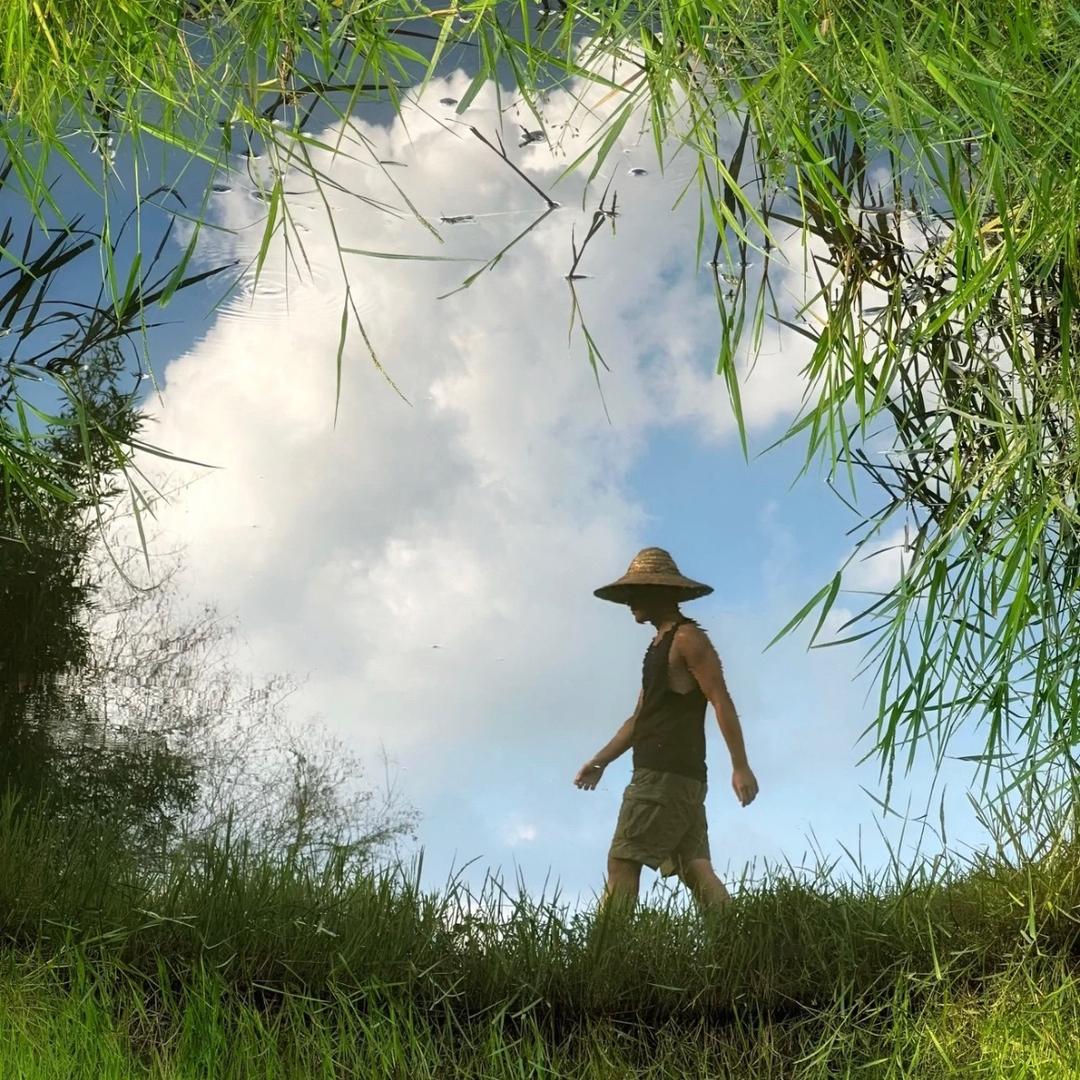 三锦种业科技