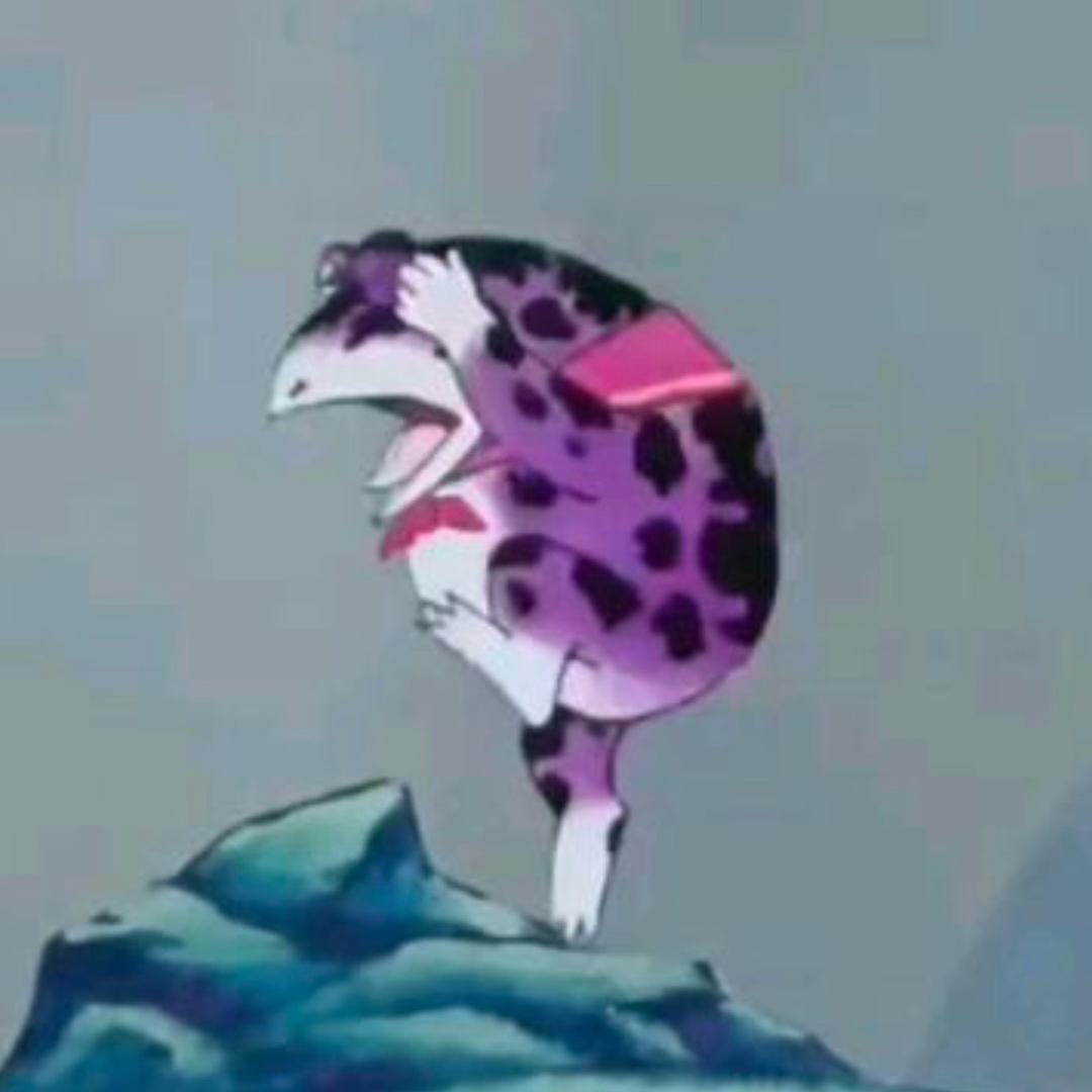 绵羊