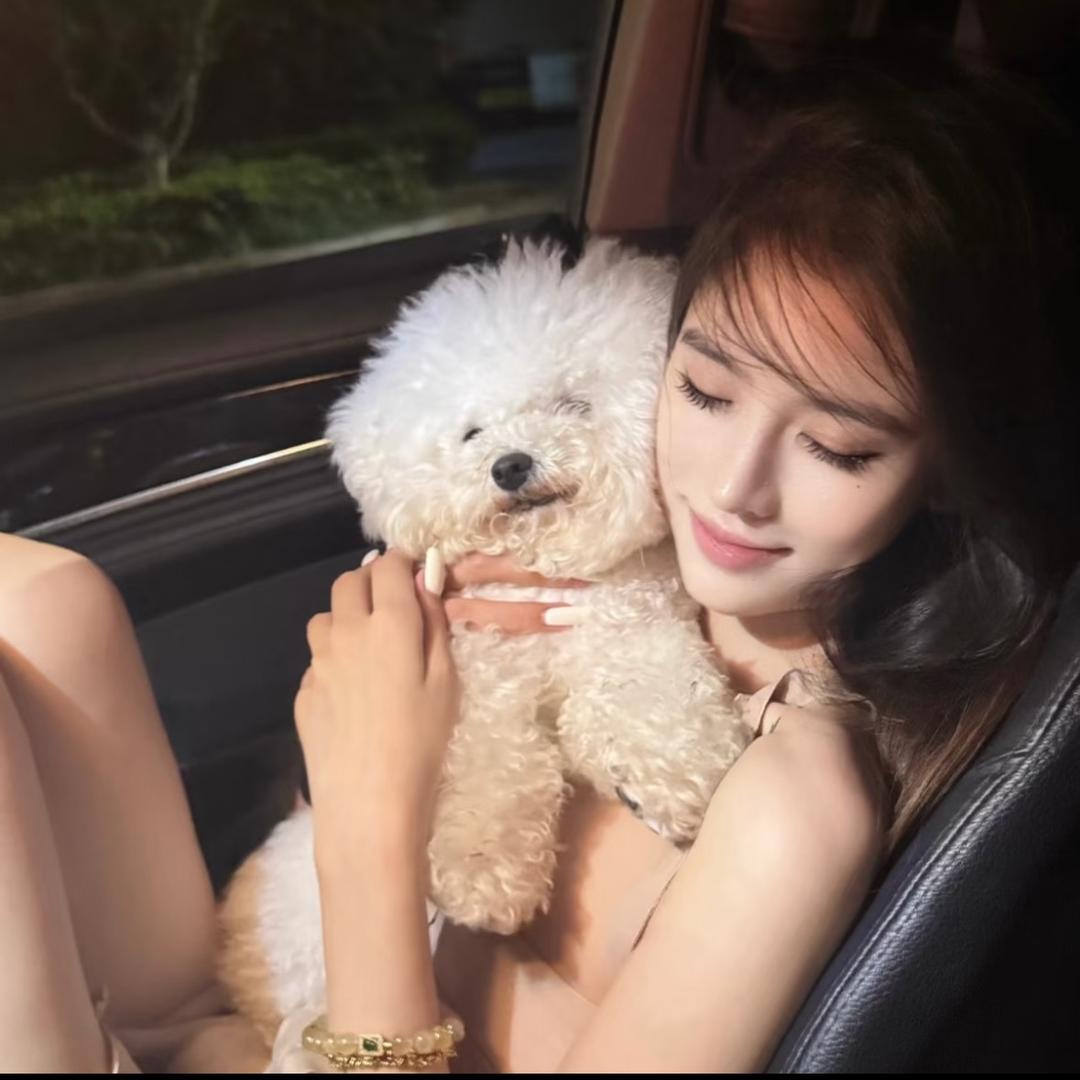 고 정 정