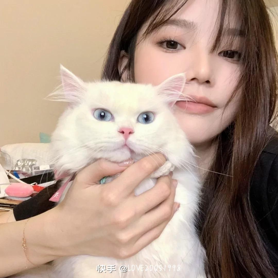 小7⃣️
