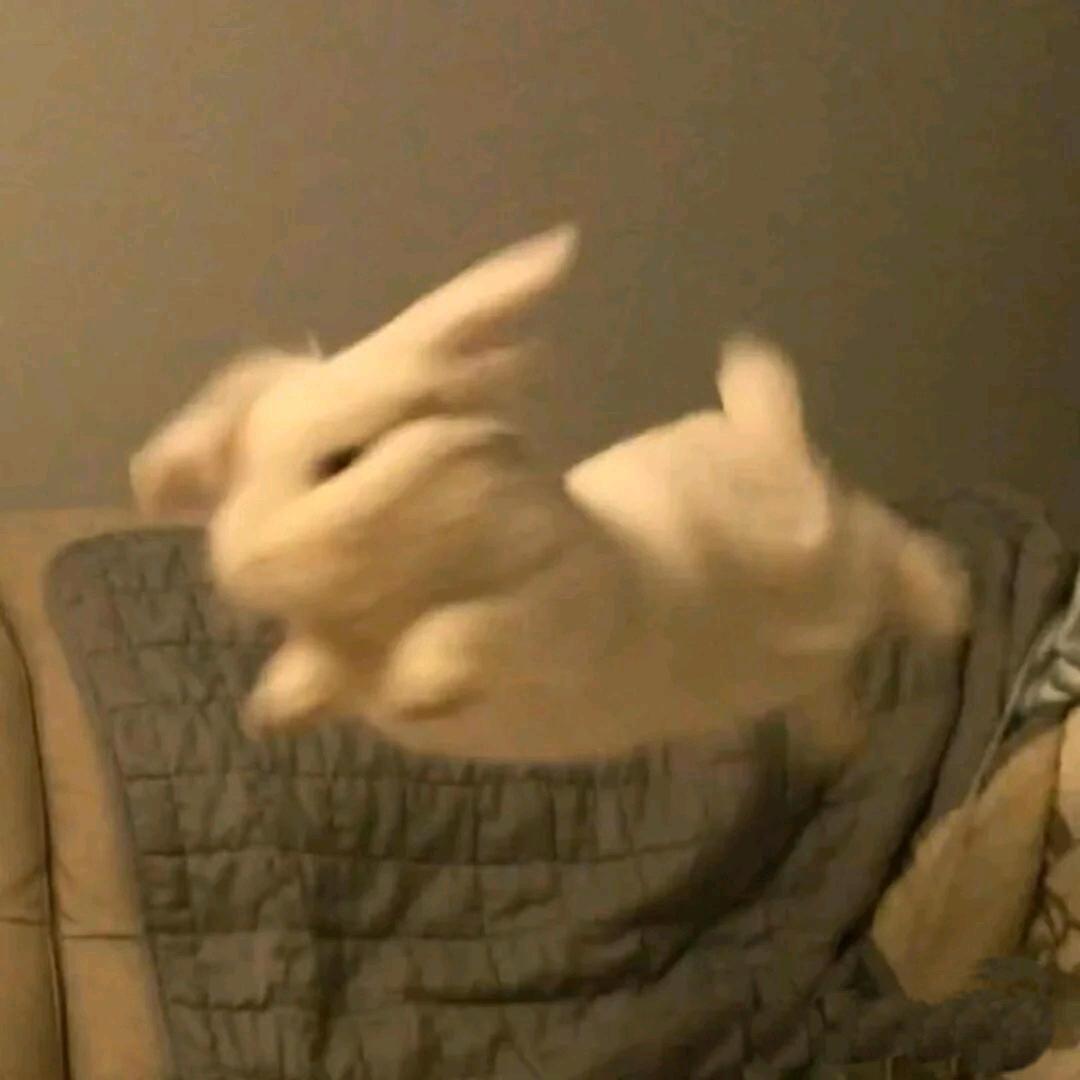 巧