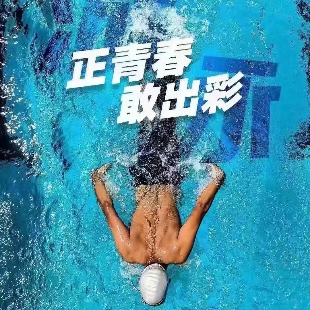 一只特立独行的猪。