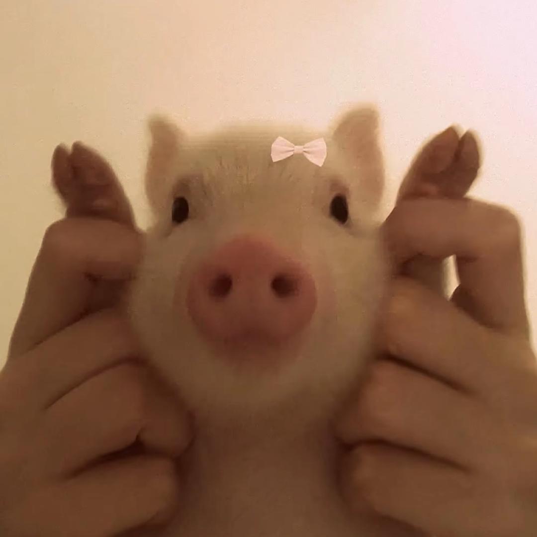 小小怪^