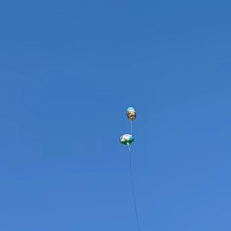 @星期8️⃣见一面.