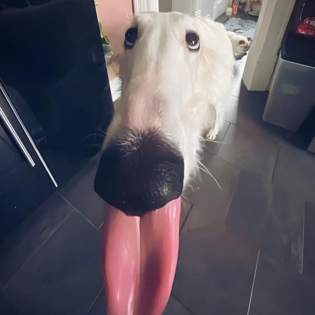媄·六