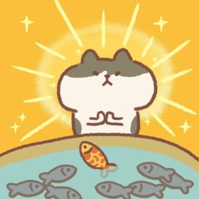 老板来份猫饭🥕