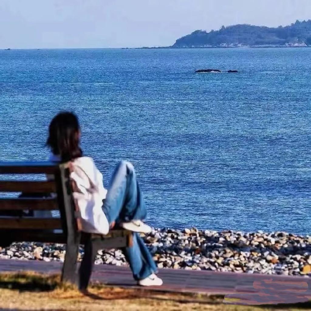 下一站，茶山刘