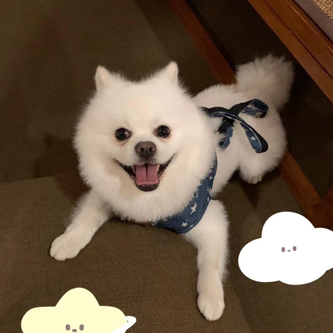 华哥记录