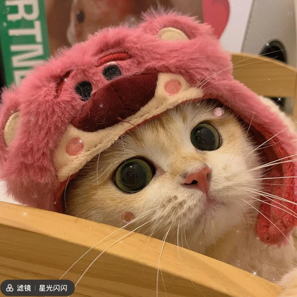 糖炒栗子。