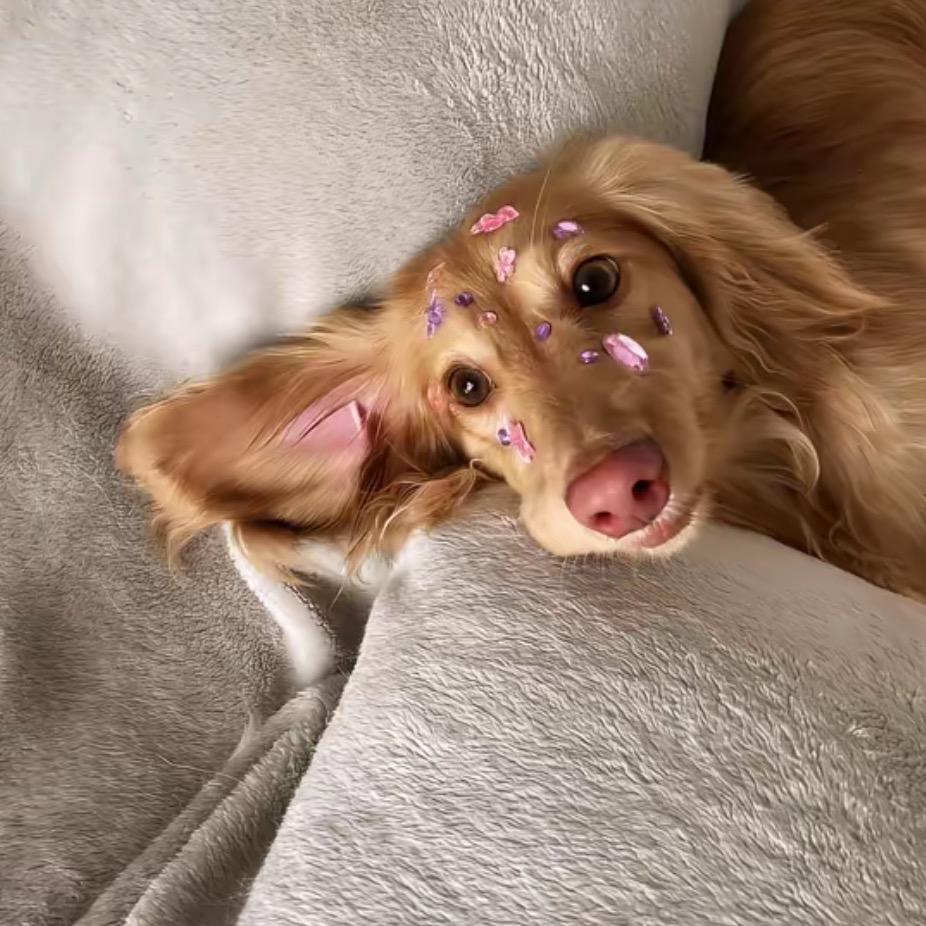 Bonnie