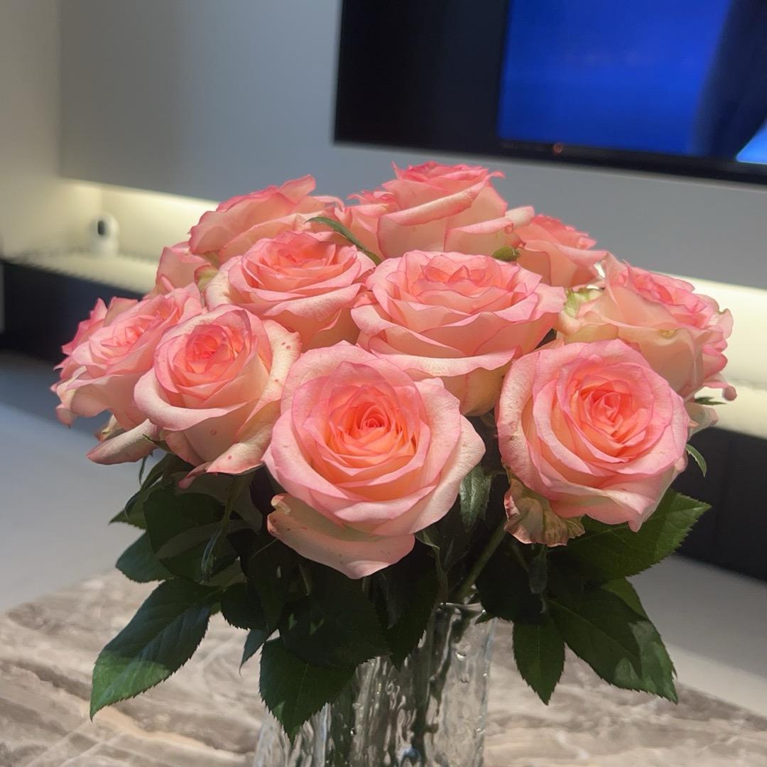 花掌柜