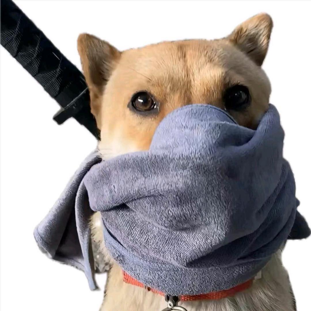 刀