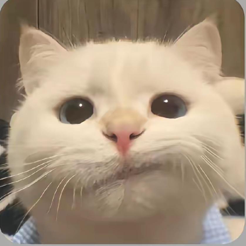231