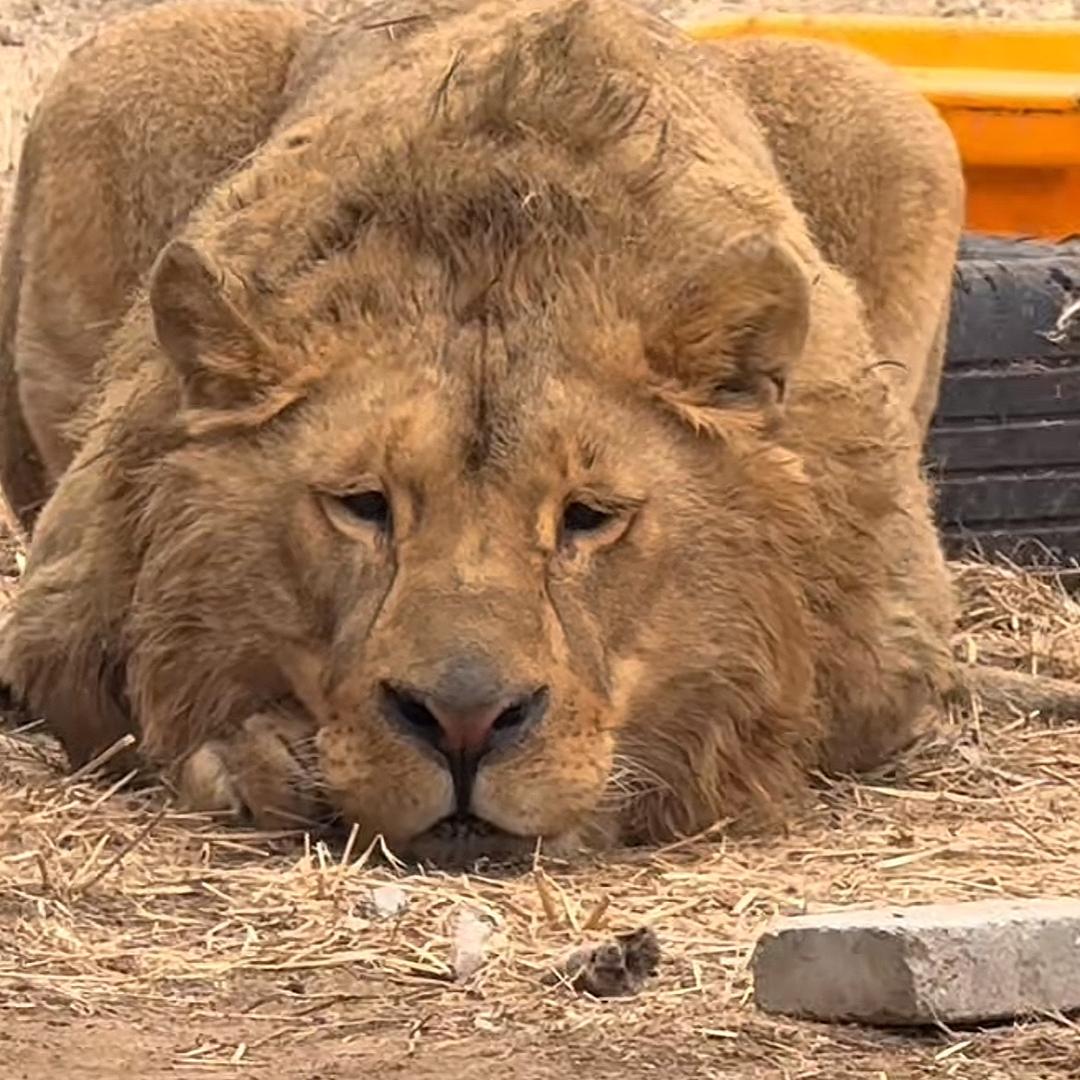 隔壁老王的隔壁老王