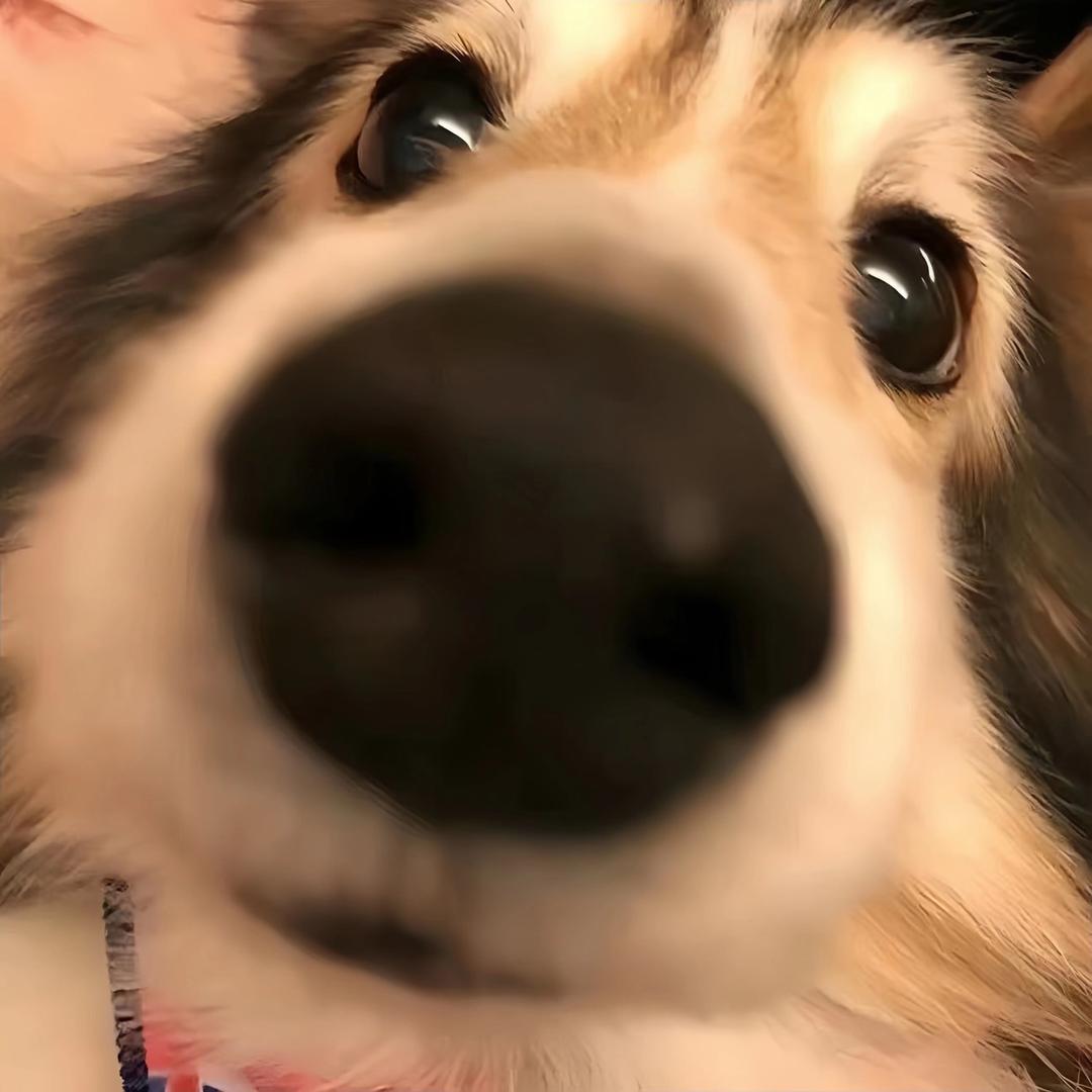 子涵