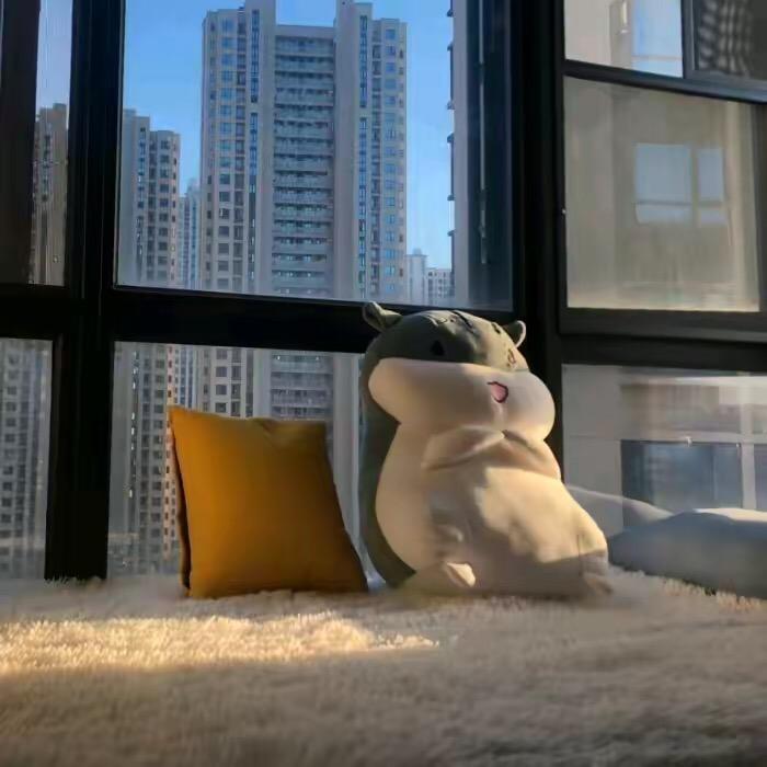 颿鷤輜