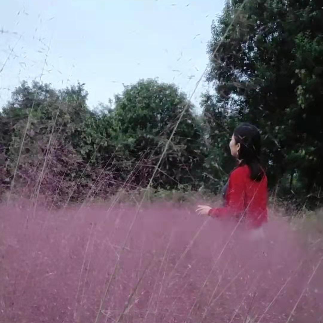 小草