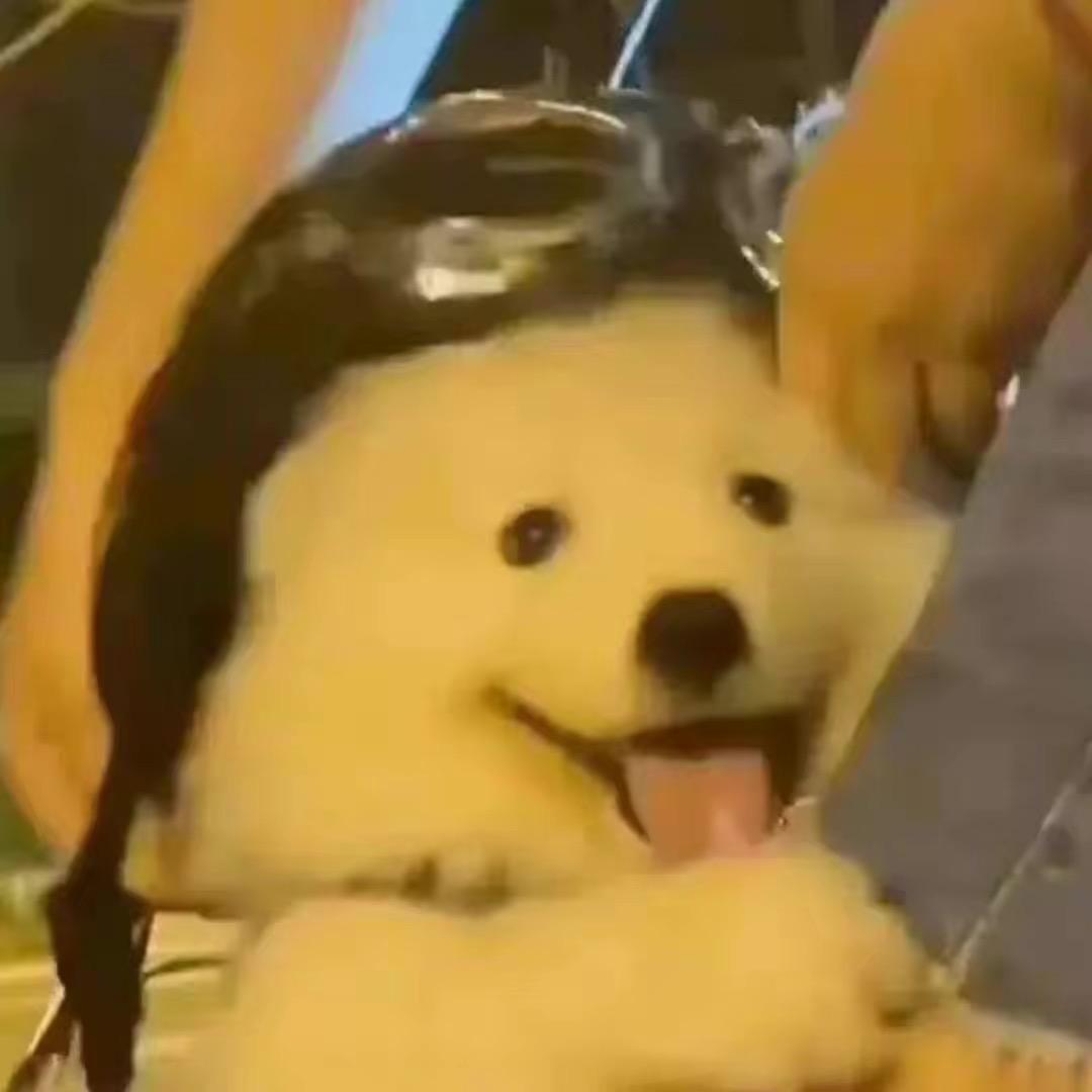 我的尾巴会说话