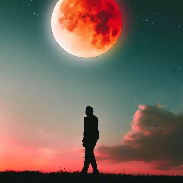 7号仓🌞