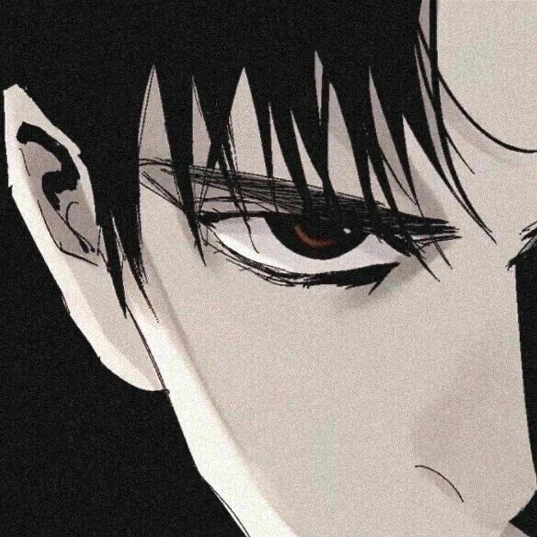 豹