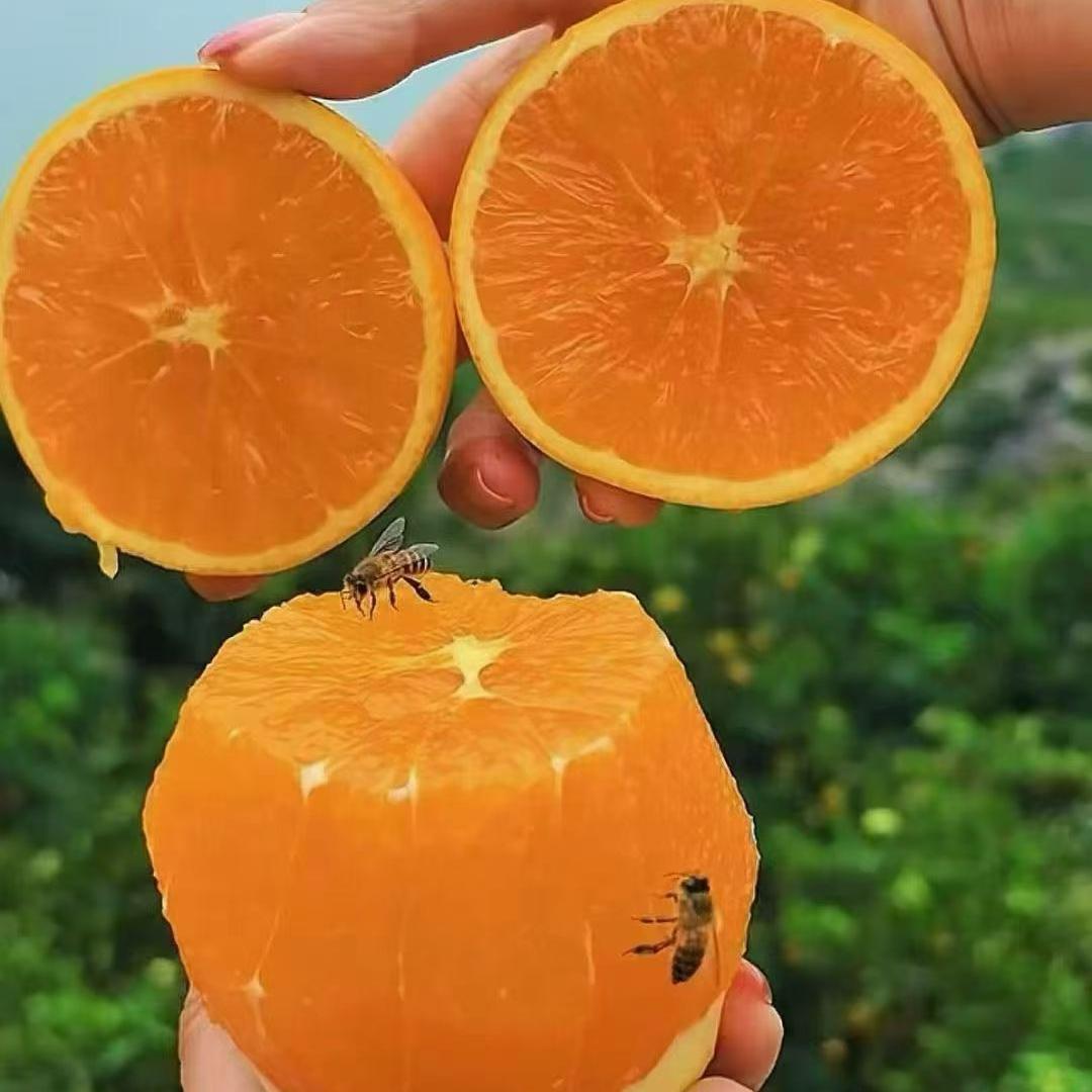 缘媛电商（个体工商户）