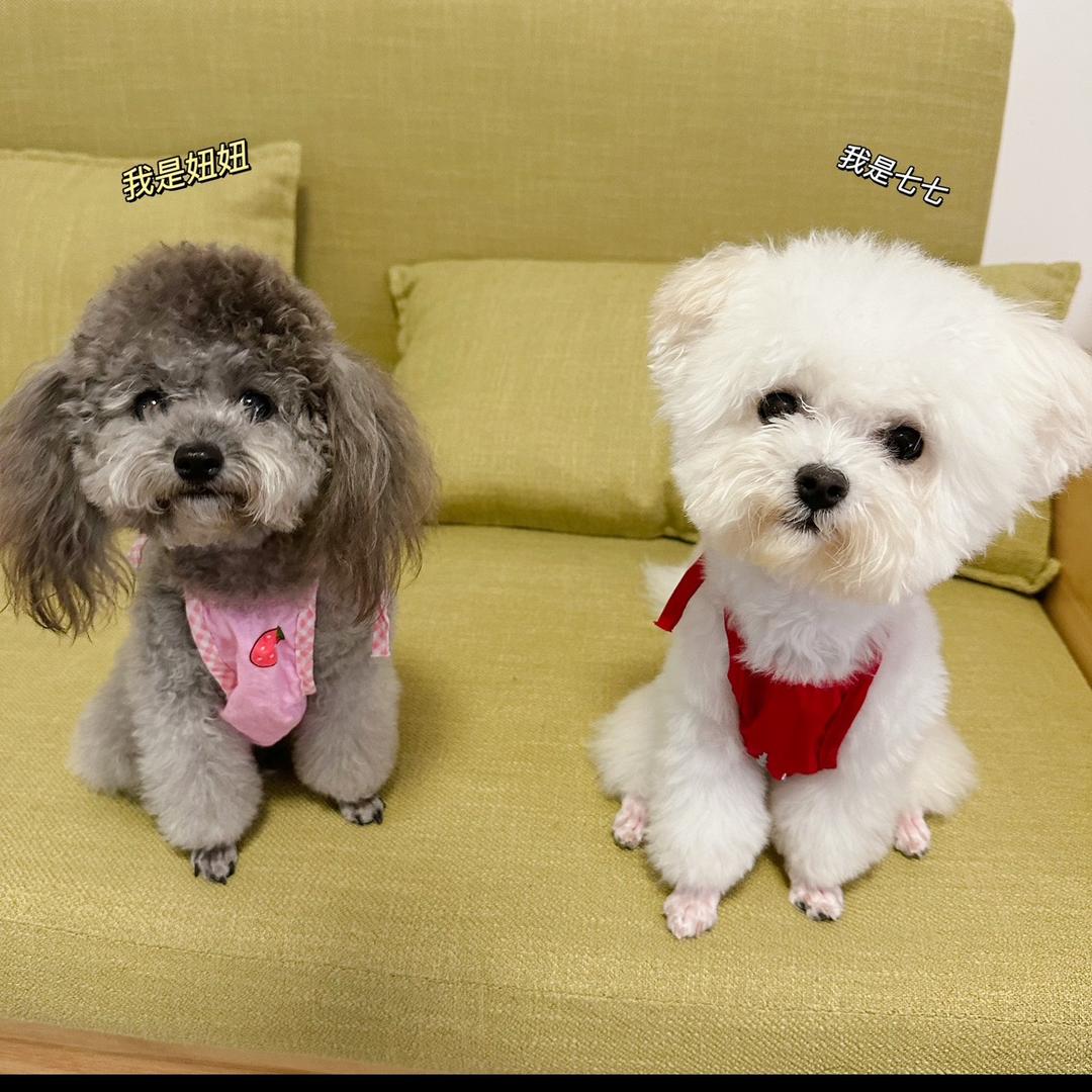 兄妹日常😘（互关）