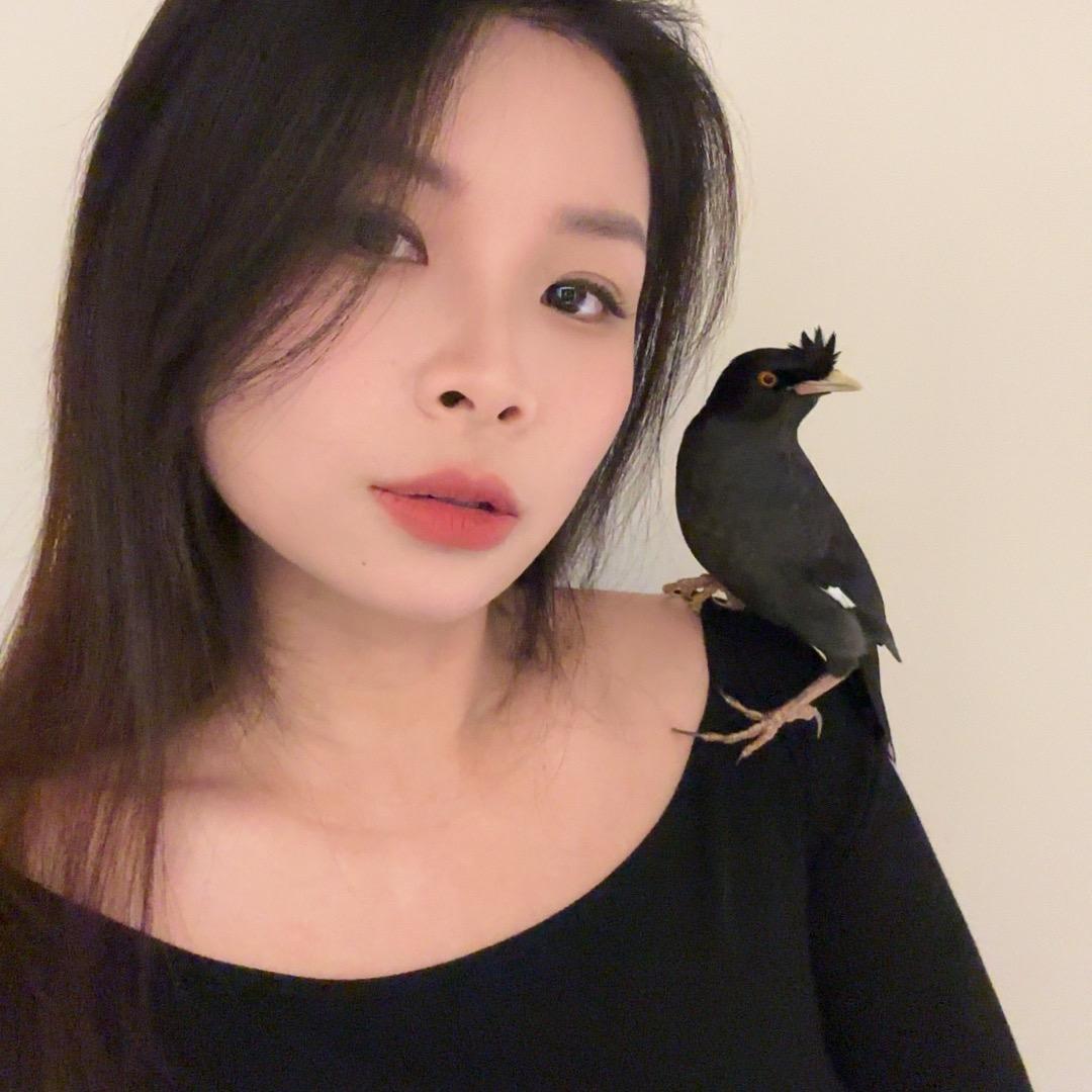 唐大嘴（鸟品优选）