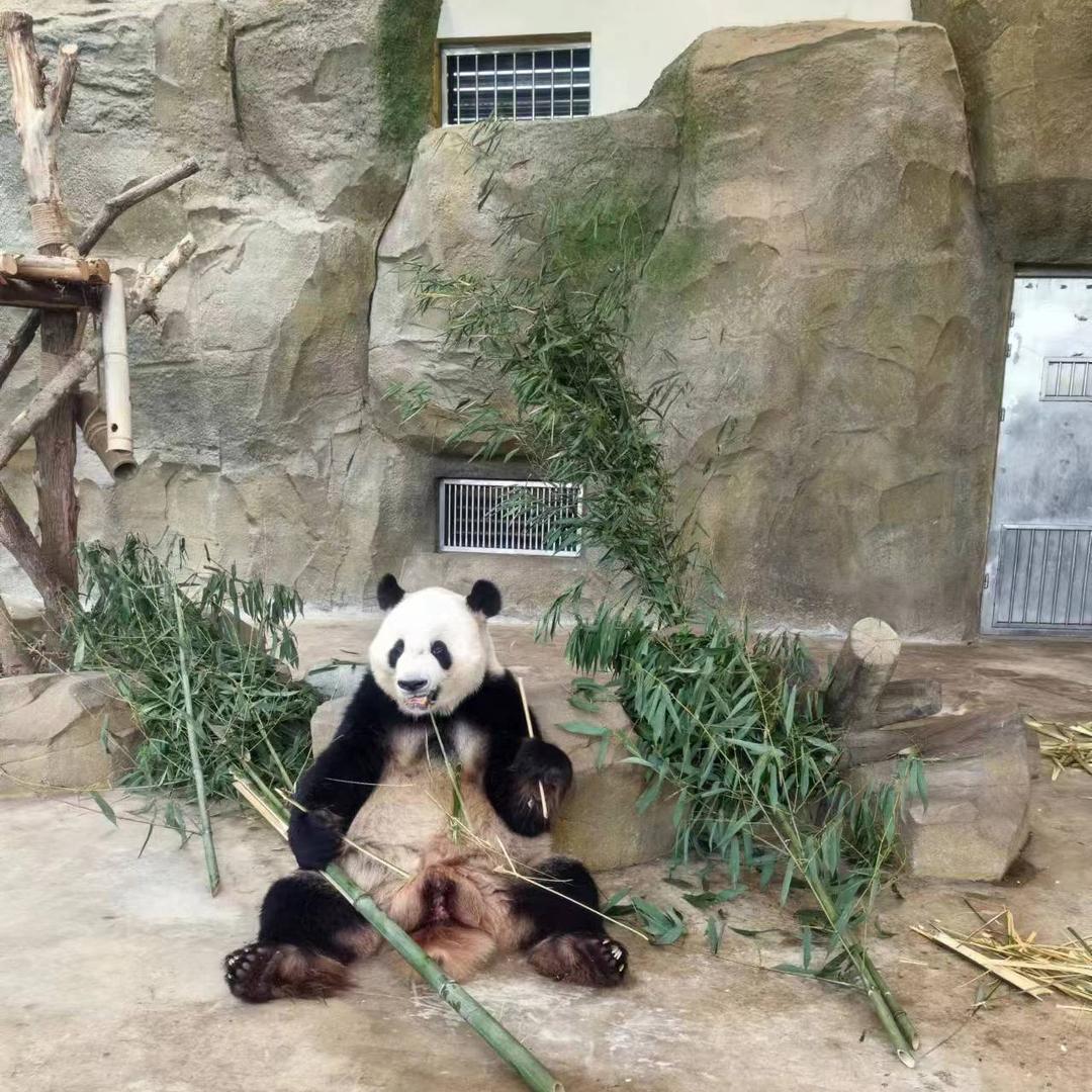 憨憨姐