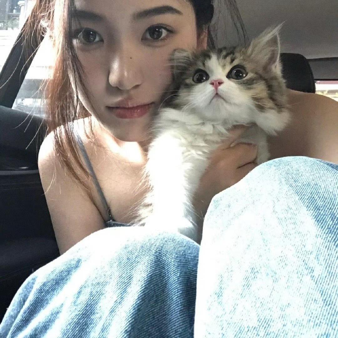 小赵赵赵赵赵